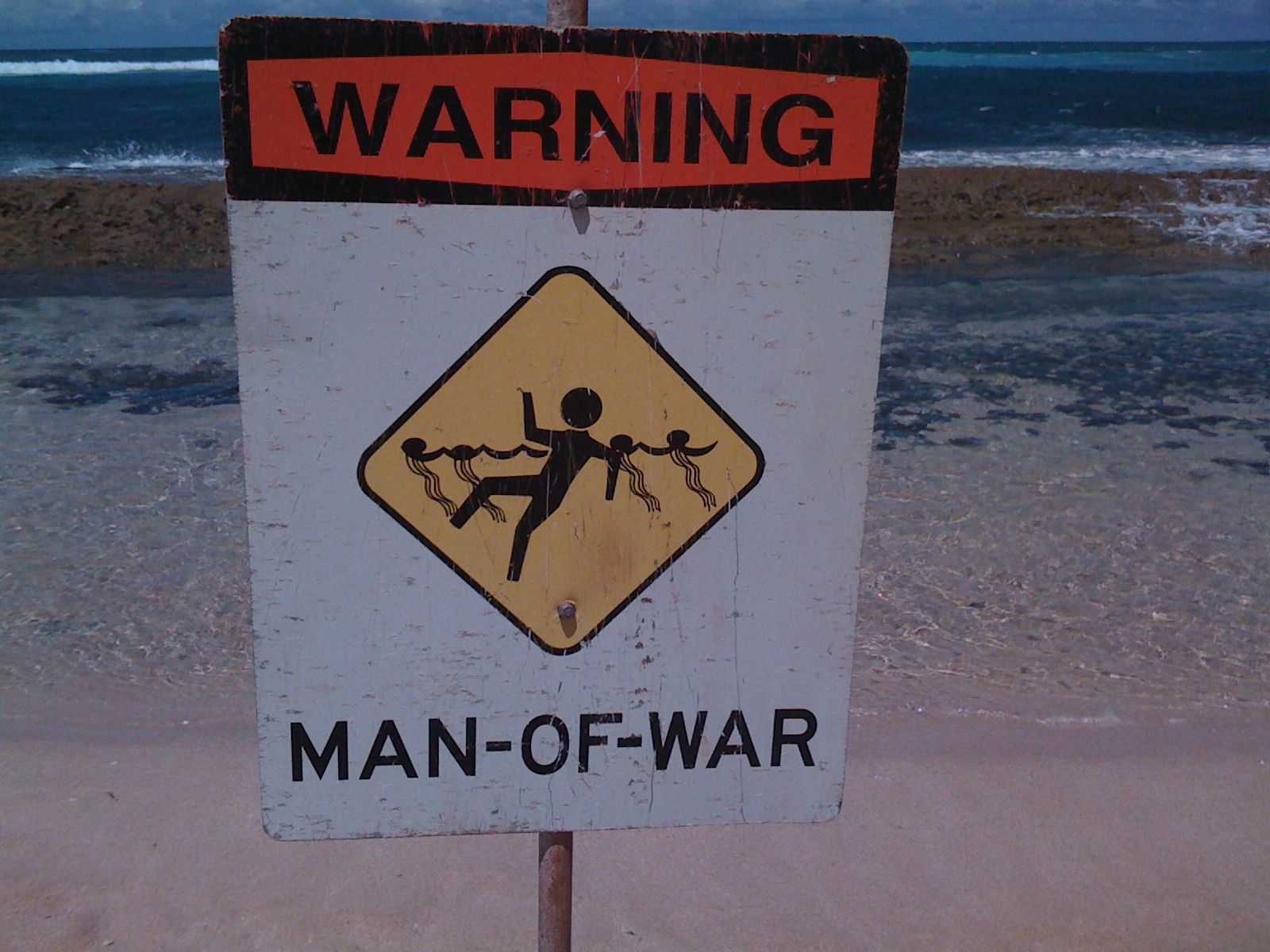 Sign - Man of War Panama